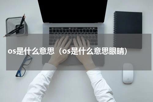 os是什么意思（os是什么意思眼睛）
