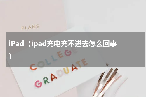 iPad（ipad充电充不进去怎么回事）