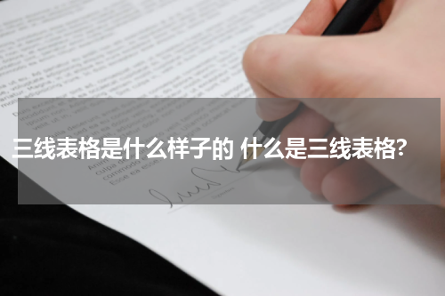 三线表格是什么样子的 什么是三线表格?