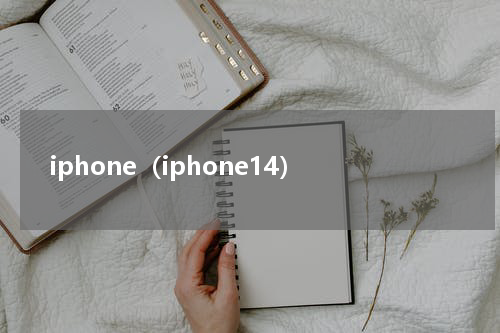 iphone（iphone14）