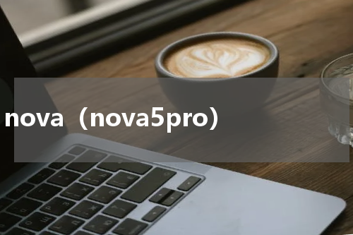 nova（nova5pro）