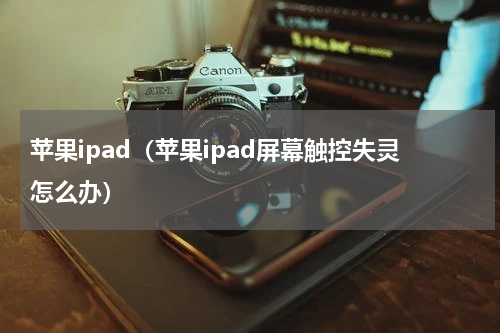 苹果ipad（苹果ipad屏幕触控失灵怎么办）