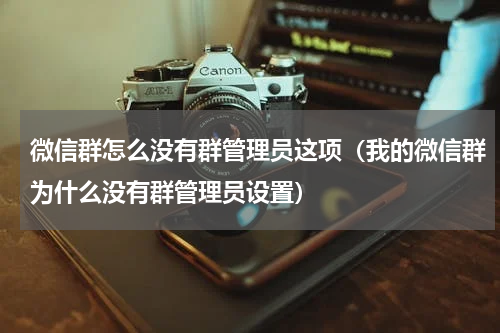 微信群怎么没有群管理员这项（我的微信群为什么没有群管理员设置）
