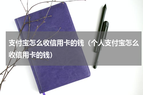 支付宝怎么收信用卡的钱（个人支付宝怎么收信用卡的钱）