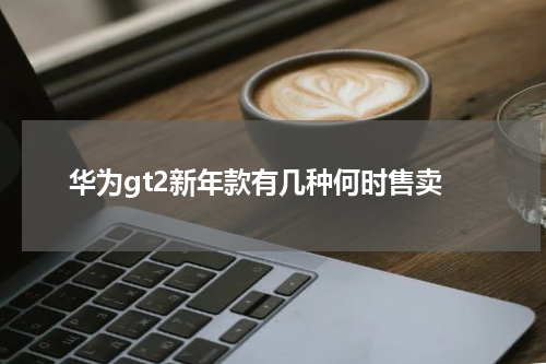 华为gt2新年款有几种何时售卖