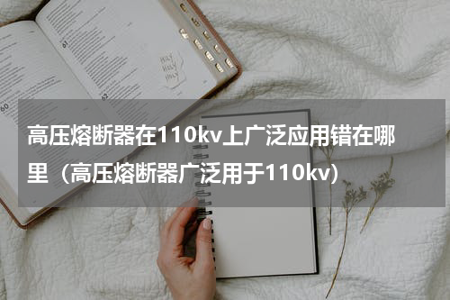 高压熔断器在110kv上广泛应用错在哪里（高压熔断器广泛用于110kv）