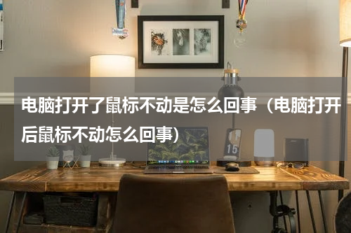 电脑打开了鼠标不动是怎么回事（电脑打开后鼠标不动怎么回事）