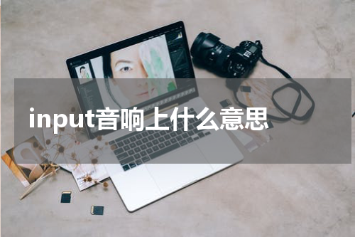 input音响上什么意思