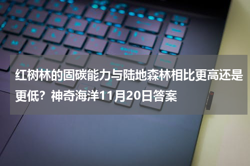 红树林的固碳能力与陆地森林相比更高还是更低？神奇海洋11月20日答案
