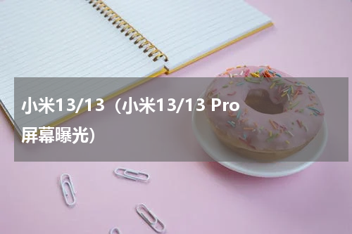 小米13/13（小米13/13 Pro屏幕曝光）