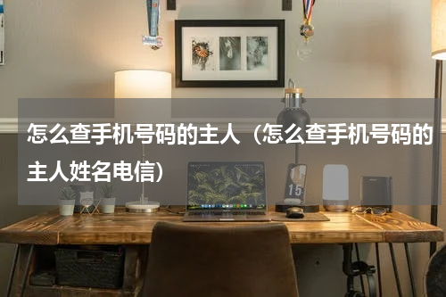 怎么查手机号码的主人（怎么查手机号码的主人姓名电信）