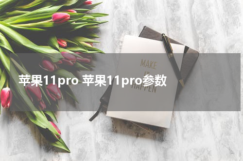 苹果11pro 苹果11pro参数