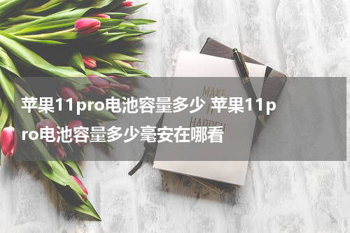 苹果11pro电池容量多少 苹果11pro电池容量多少毫安在哪看