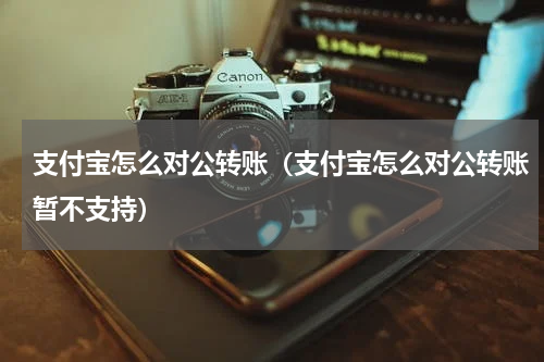 支付宝怎么对公转账（支付宝怎么对公转账暂不支持）