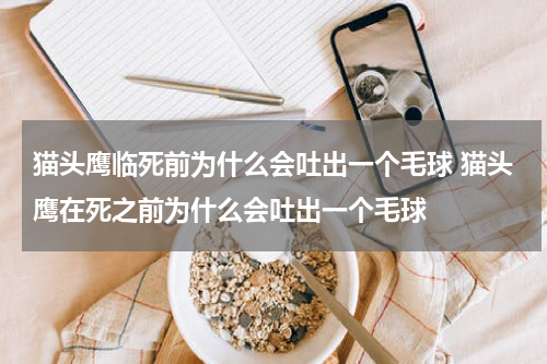 猫头鹰临死前为什么会吐出一个毛球 猫头鹰在死之前为什么会吐出一个毛球