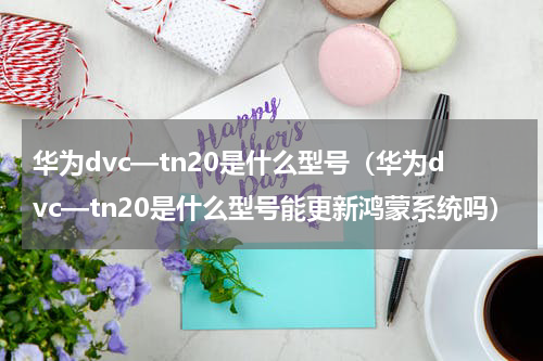 华为dvc—tn20是什么型号（华为dvc—tn20是什么型号能更新鸿蒙系统吗）