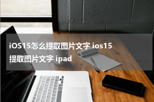 iOS15怎么提取图片文字 ios15提取图片文字 ipad