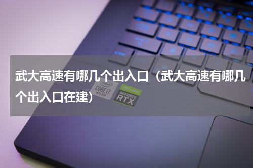 武大高速有哪几个出入口（武大高速有哪几个出入口在建）