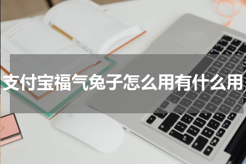 支付宝福气兔子怎么用有什么用