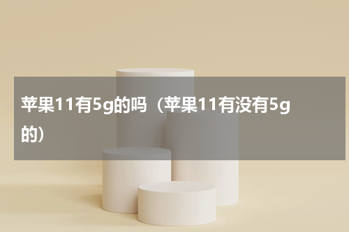苹果11有5g的吗（苹果11有没有5g的）