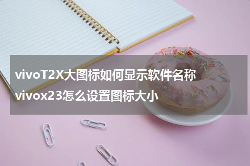 vivoT2X大图标如何显示软件名称 vivox23怎么设置图标大小