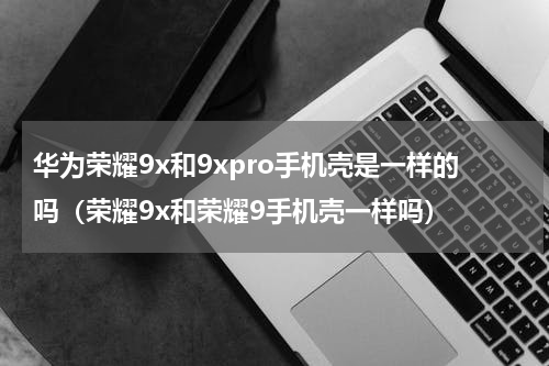 华为荣耀9x和9xpro手机壳是一样的吗（荣耀9x和荣耀9手机壳一样吗）
