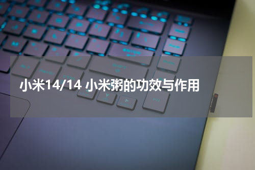小米14/14 小米粥的功效与作用