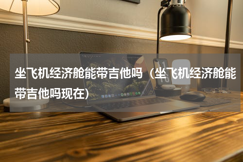 坐飞机经济舱能带吉他吗（坐飞机经济舱能带吉他吗现在）