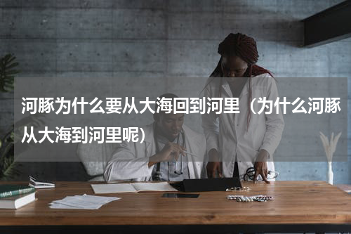 河豚为什么要从大海回到河里（为什么河豚从大海到河里呢）