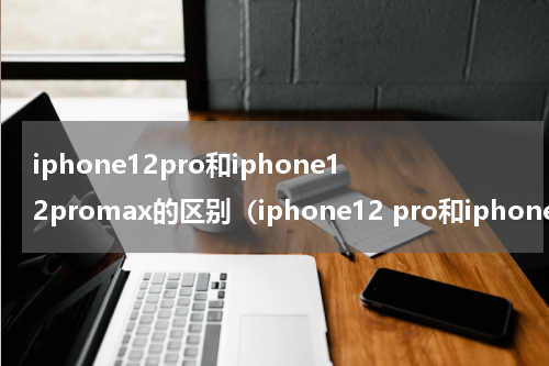 iphone12pro和iphone12promax的区别（iphone12 pro和iphone12promax区别）