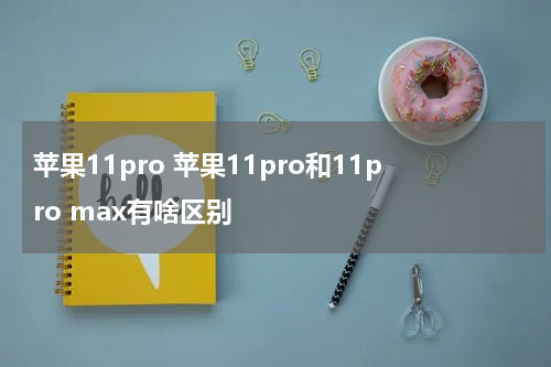 苹果11pro 苹果11pro和11pro max有啥区别