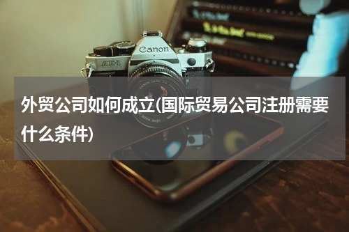 外贸公司如何成立(国际贸易公司注册需要什么条件)