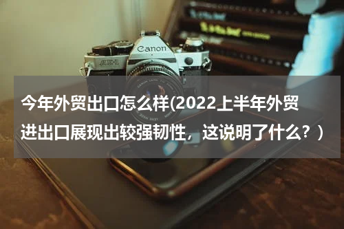 今年外贸出口怎么样(2022上半年外贸进出口展现出较强韧性，这说明了什么？)