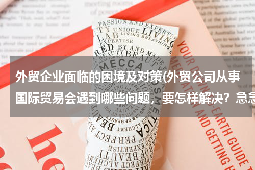 外贸企业面临的困境及对策(外贸公司从事国际贸易会遇到哪些问题，要怎样解决？急急急！！！！！！)