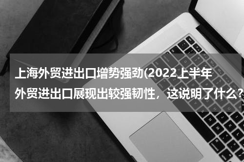 上海外贸进出口增势强劲(2022上半年外贸进出口展现出较强韧性，这说明了什么？)