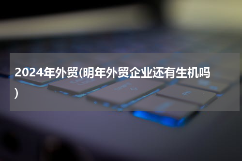 2024年外贸(明年外贸企业还有生机吗)