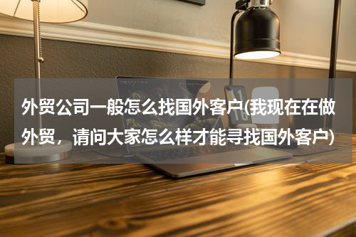 外贸公司一般怎么找国外客户(我现在在做外贸，请问大家怎么样才能寻找国外客户)