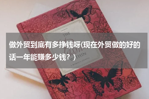 做外贸到底有多挣钱呀(现在外贸做的好的话一年能赚多少钱？)