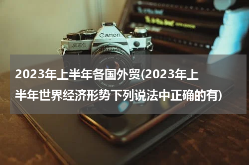 2023年上半年各国外贸(2023年上半年世界经济形势下列说法中正确的有)