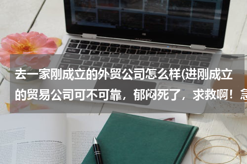 去一家刚成立的外贸公司怎么样(进刚成立的贸易公司可不可靠，郁闷死了，求救啊！急)