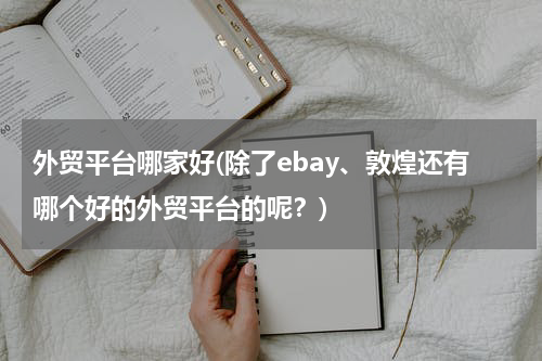 外贸平台哪家好(除了ebay、敦煌还有哪个好的外贸平台的呢？)