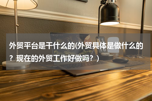 外贸平台是干什么的(外贸具体是做什么的？现在的外贸工作好做吗？)