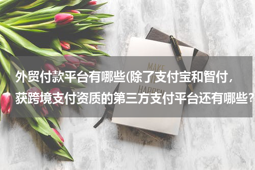 外贸付款平台有哪些(除了支付宝和智付，获跨境支付资质的第三方支付平台还有哪些？)