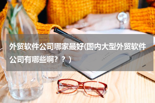 外贸软件公司哪家最好(国内大型外贸软件公司有哪些啊？？)