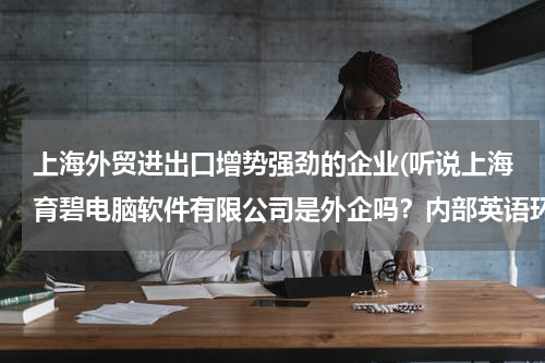 上海外贸进出口增势强劲的企业(听说上海育碧电脑软件有限公司是外企吗？内部英语环境好么？说的机会多吗？)