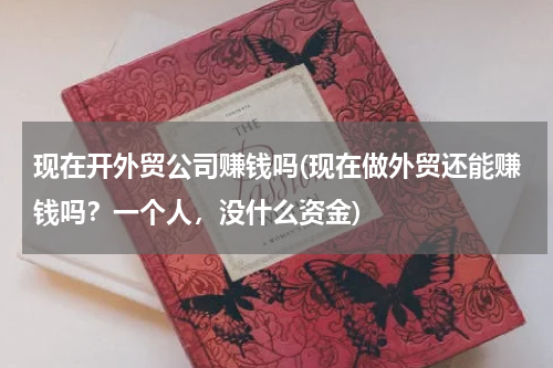 现在开外贸公司赚钱吗(现在做外贸还能赚钱吗？一个人，没什么资金)