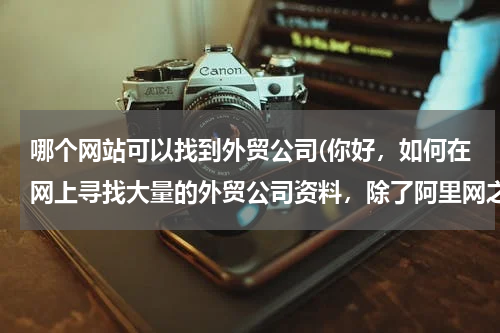 哪个网站可以找到外贸公司(你好，如何在网上寻找大量的外贸公司资料，除了阿里网之外，还有什么途径吗？谢谢)