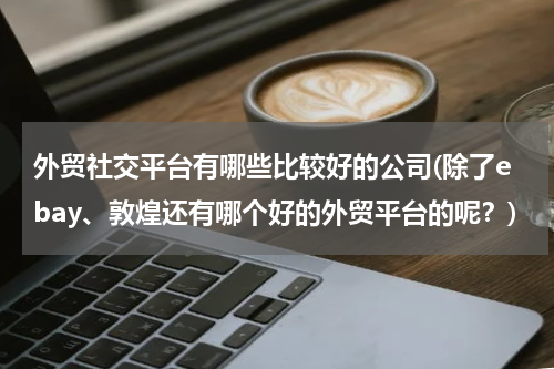 外贸社交平台有哪些比较好的公司(除了ebay、敦煌还有哪个好的外贸平台的呢？)