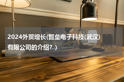 2024外贸增长(智垒电子科技(武汉)有限公司的介绍？)