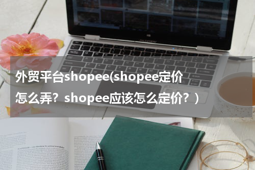 外贸平台shopee(shopee定价怎么弄？shopee应该怎么定价？)